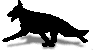 anim_laufDSHschw-w.gif (4856 Byte)