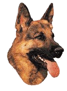 kopf.gif (14509 Byte)